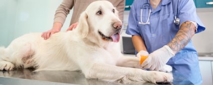 Veterinary Services